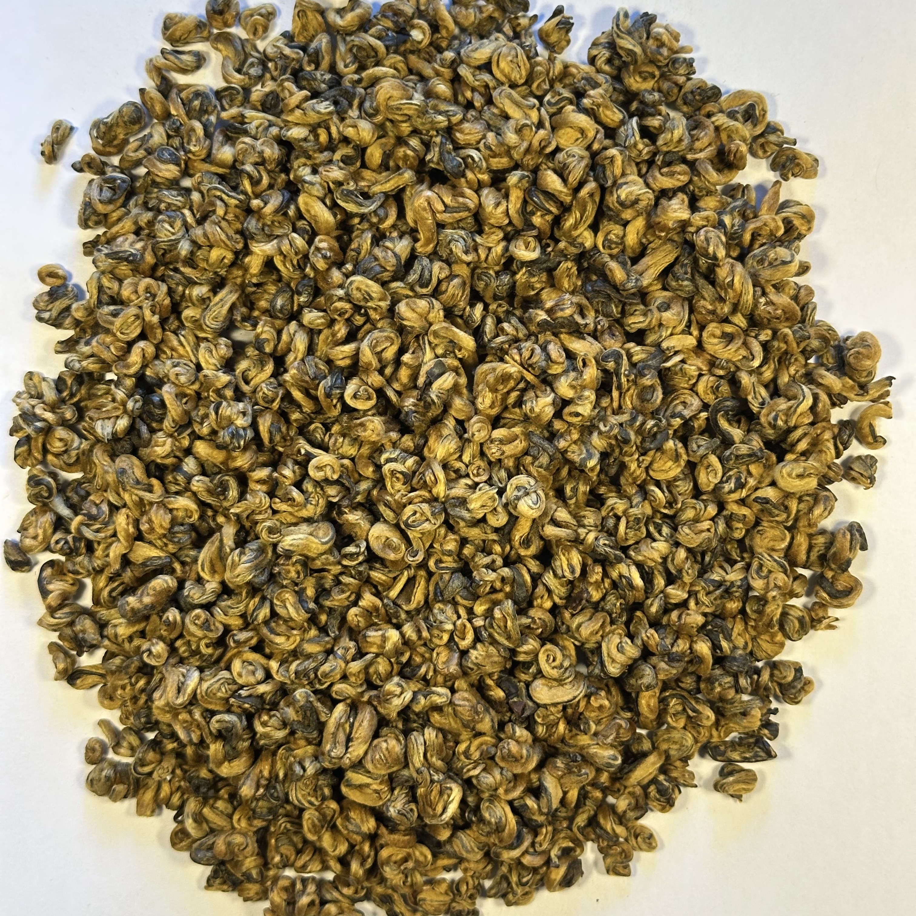 Jin Luo — Golden Snail