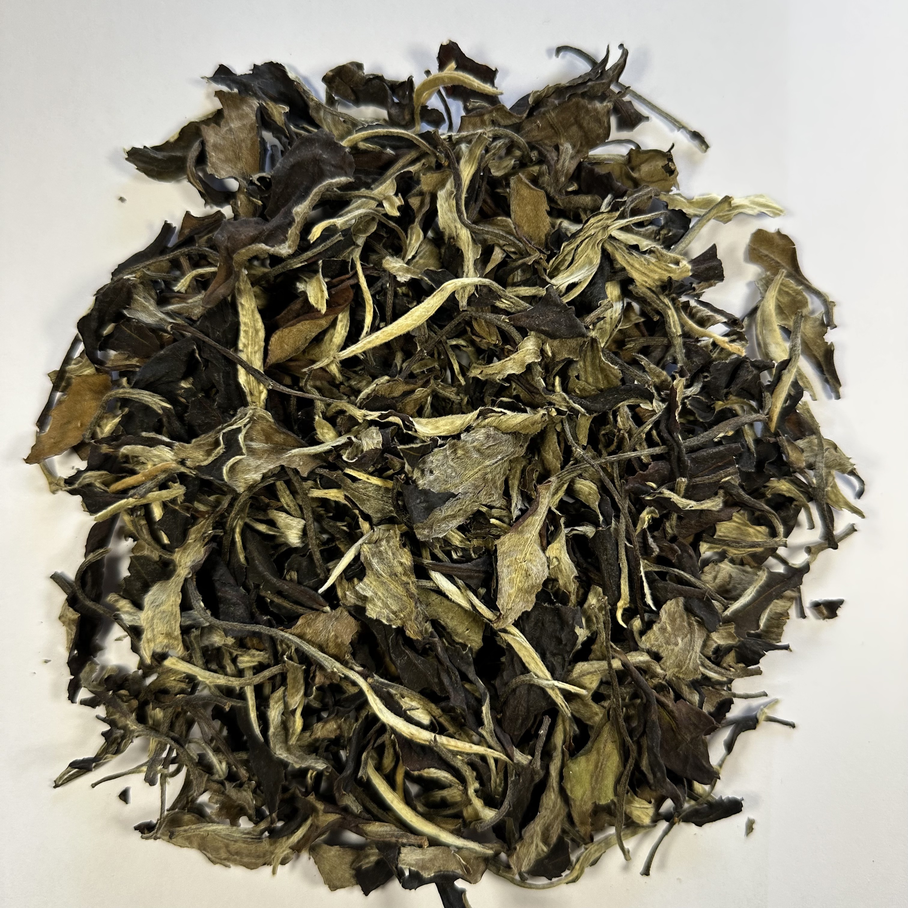 Yue Guang Bai — Moonlight White