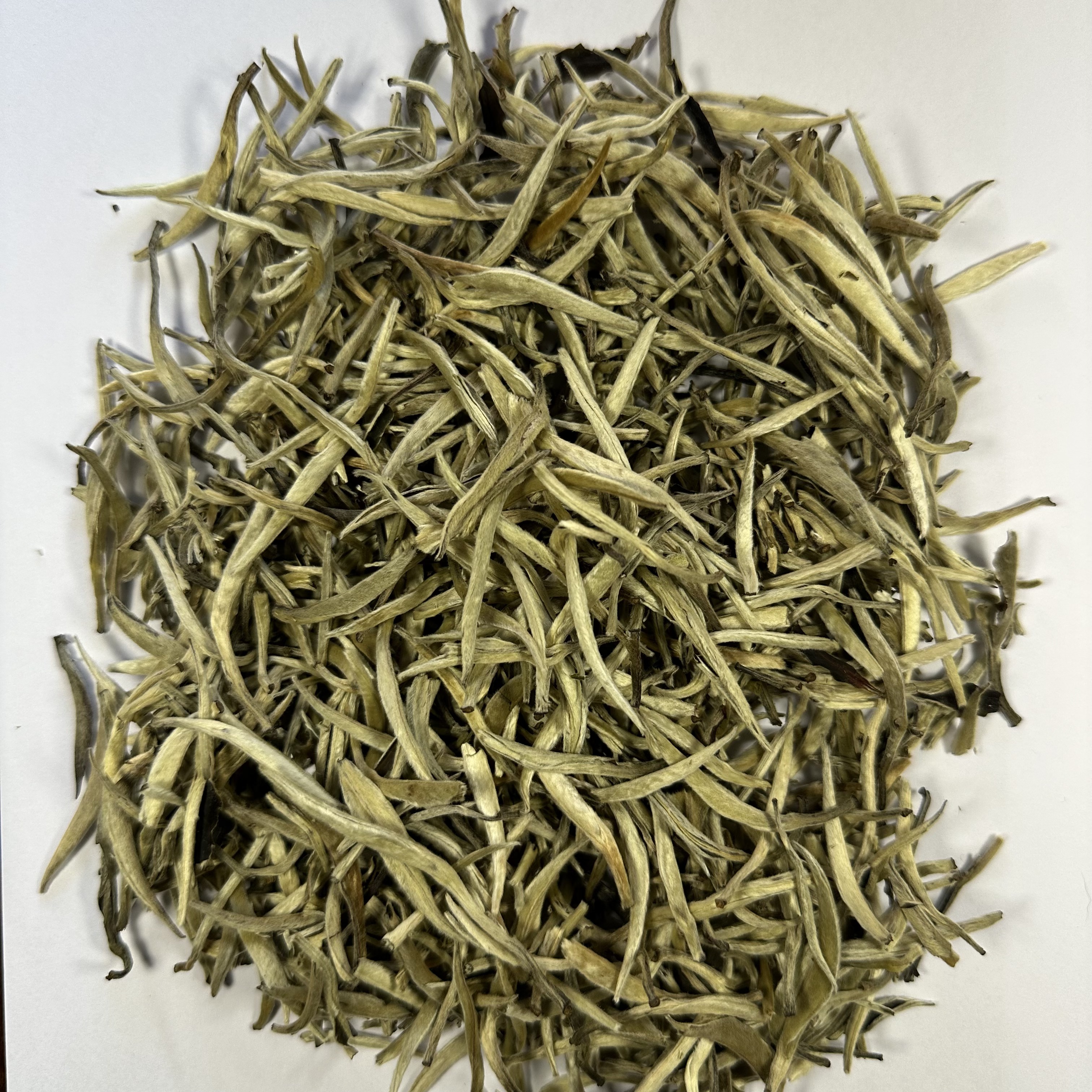 Bai Hao Yin Zhen — Silver Needle